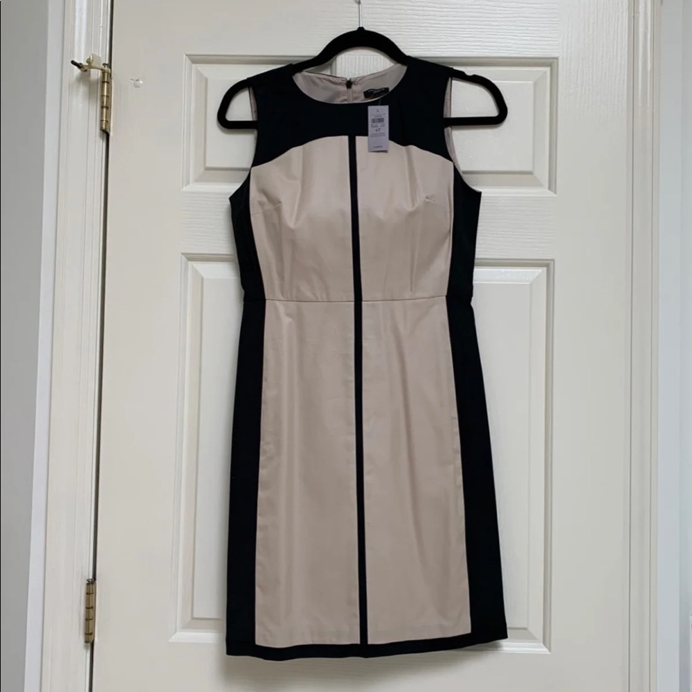 Ann Taylor Dress